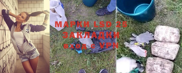 ПСИЛОЦИБИНОВЫЕ ГРИБЫ Краснотурьинск