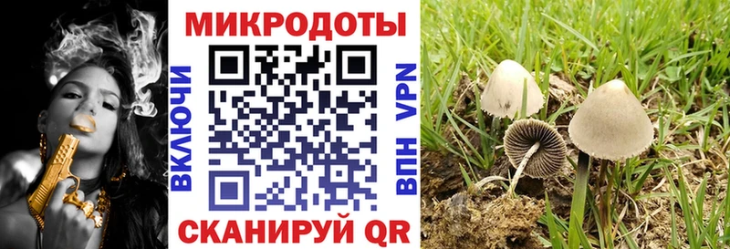 Галлюциногенные грибы GOLDEN TEACHER  Донской 