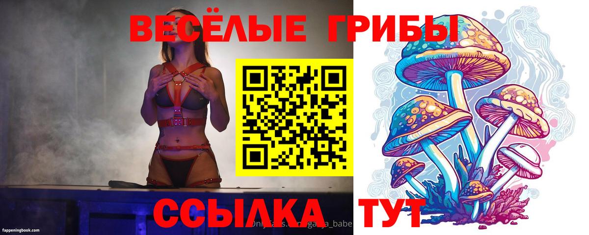 Донской  Галлюциногенные грибы Psilocybine cubensis  Вход с VPN 